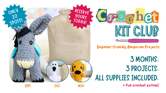 Simply Hooked 3-Month Crochet Kit Club – Beginner Amigurumi Projects