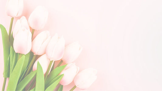tulips