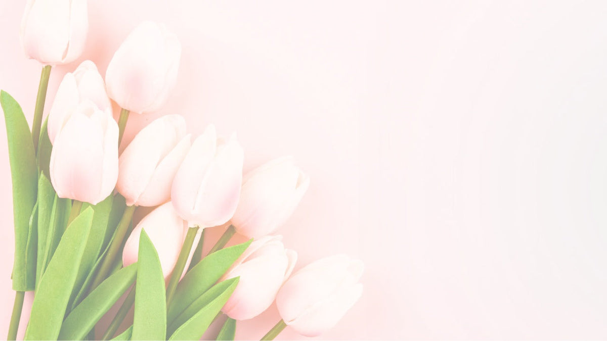 tulips