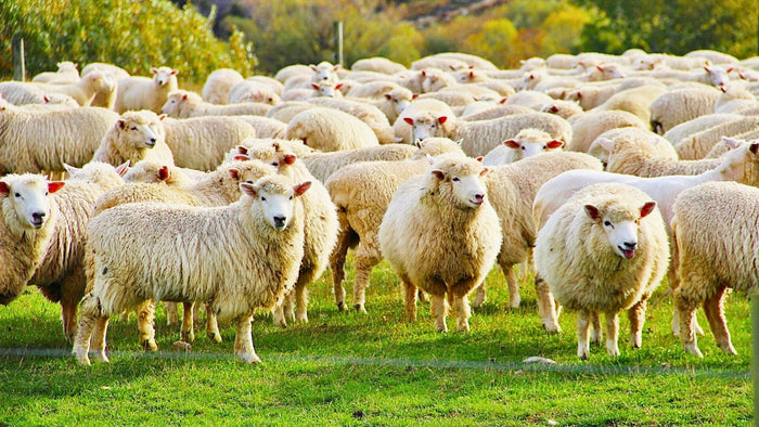 yarn and crochet hook