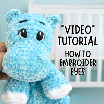 BONUS! Embroidering Eyes Photo & Video Tutorial
